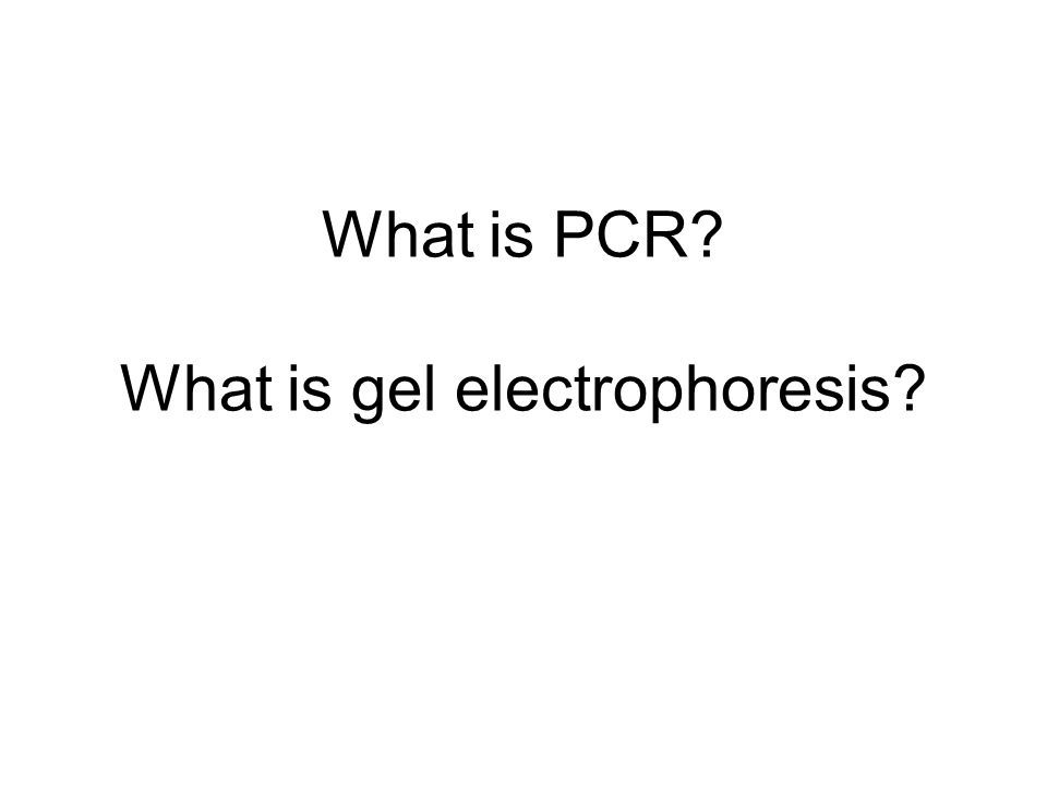 What is PCR What is gel electrophoresis