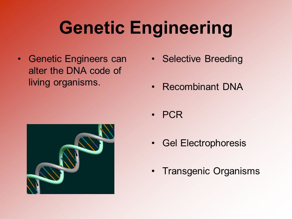 Genetic Engineering Genetic Engineers can alter the DNA code of living organisms.