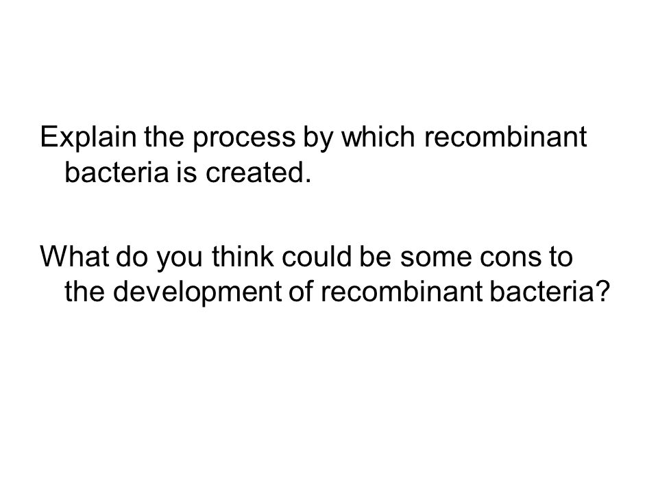 Explain the process by which recombinant bacteria is created.