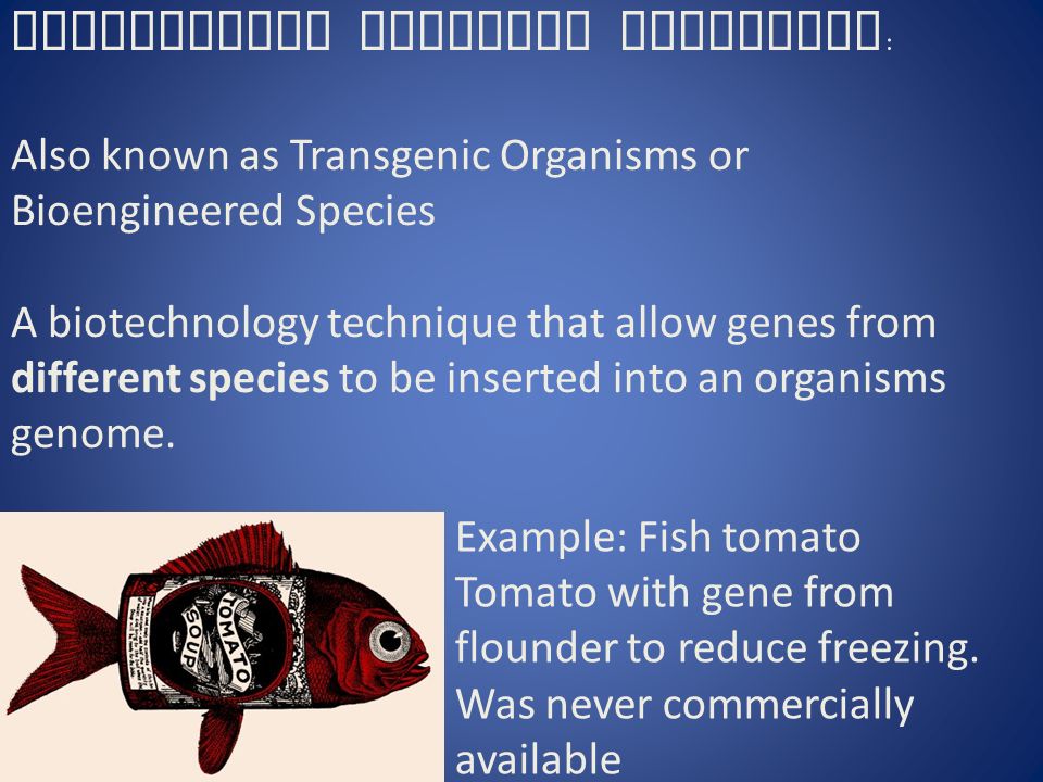 Genetically Modified Organisms : Also known as Transgenic Organisms or Bioengineered Species A biotechnology technique that allow genes from different species to be inserted into an organisms genome.