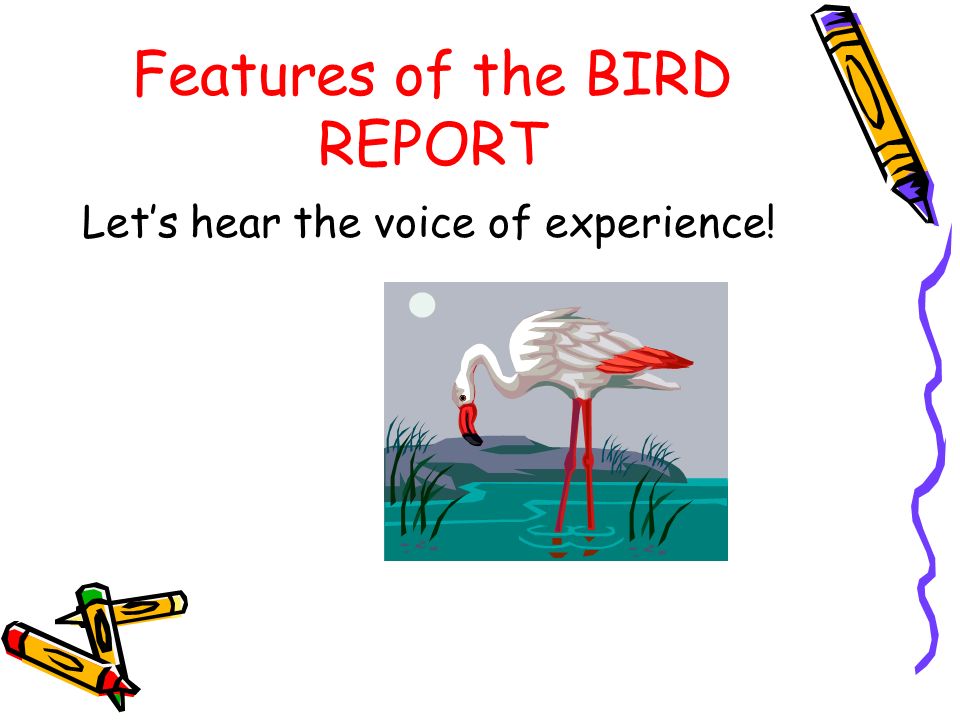 Features of the BIRD REPORT Let’s hear the voice of experience!