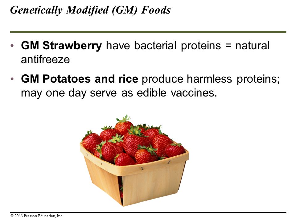 GM Strawberry have bacterial proteins = natural antifreeze GM Potatoes and rice produce harmless proteins; may one day serve as edible vaccines.