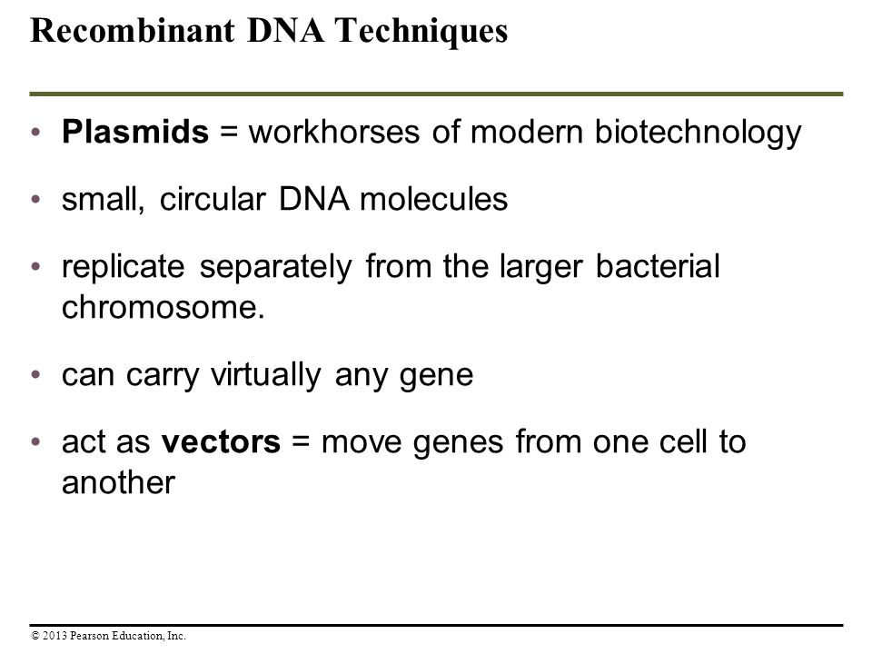 Recombinant DNA Techniques Plasmids = workhorses of modern biotechnology small, circular DNA molecules replicate separately from the larger bacterial chromosome.