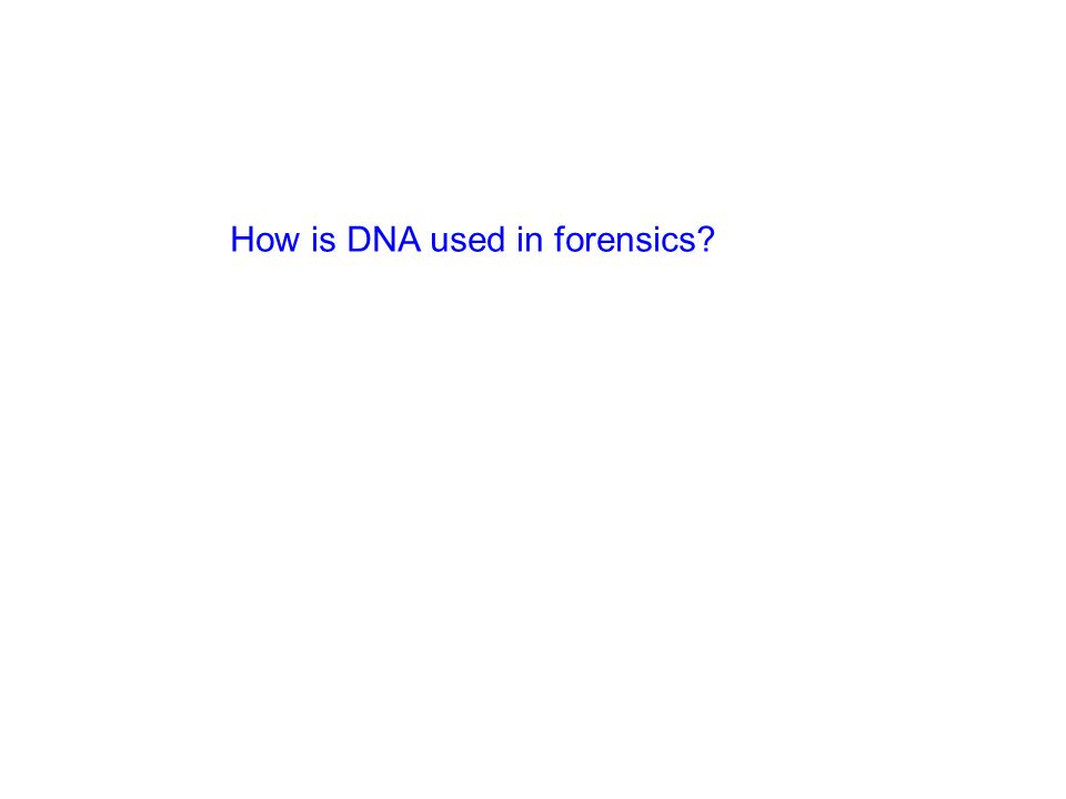 How is DNA used in forensics
