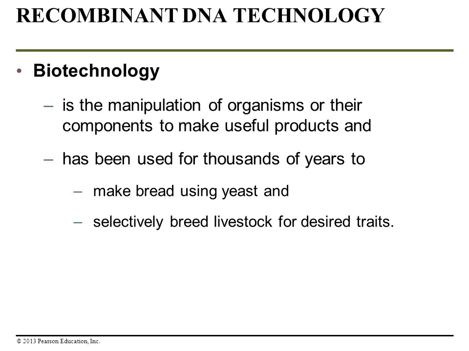 RECOMBINANT DNA TECHNOLOGY Biotechnology –is the manipulation of organisms or their components to make useful products and –has been used for thousands of years to –make bread using yeast and –selectively breed livestock for desired traits.
