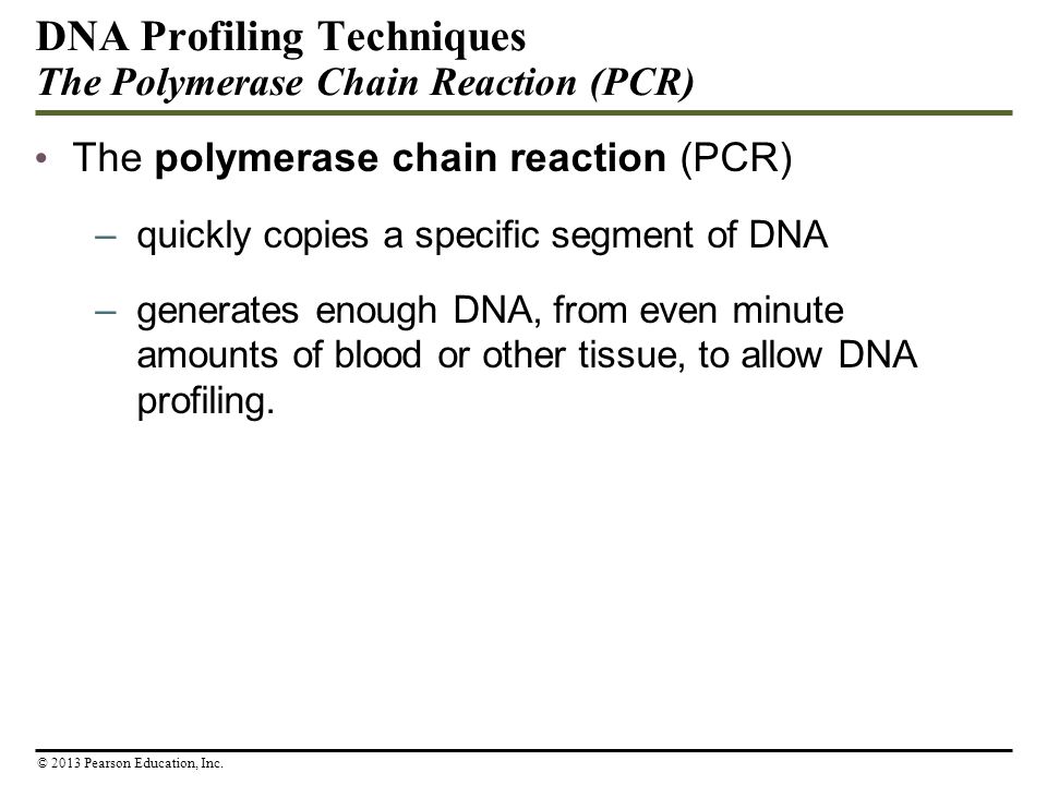 DNA Profiling Techniques The Polymerase Chain Reaction (PCR) The polymerase chain reaction (PCR) –quickly copies a specific segment of DNA –generates enough DNA, from even minute amounts of blood or other tissue, to allow DNA profiling.
