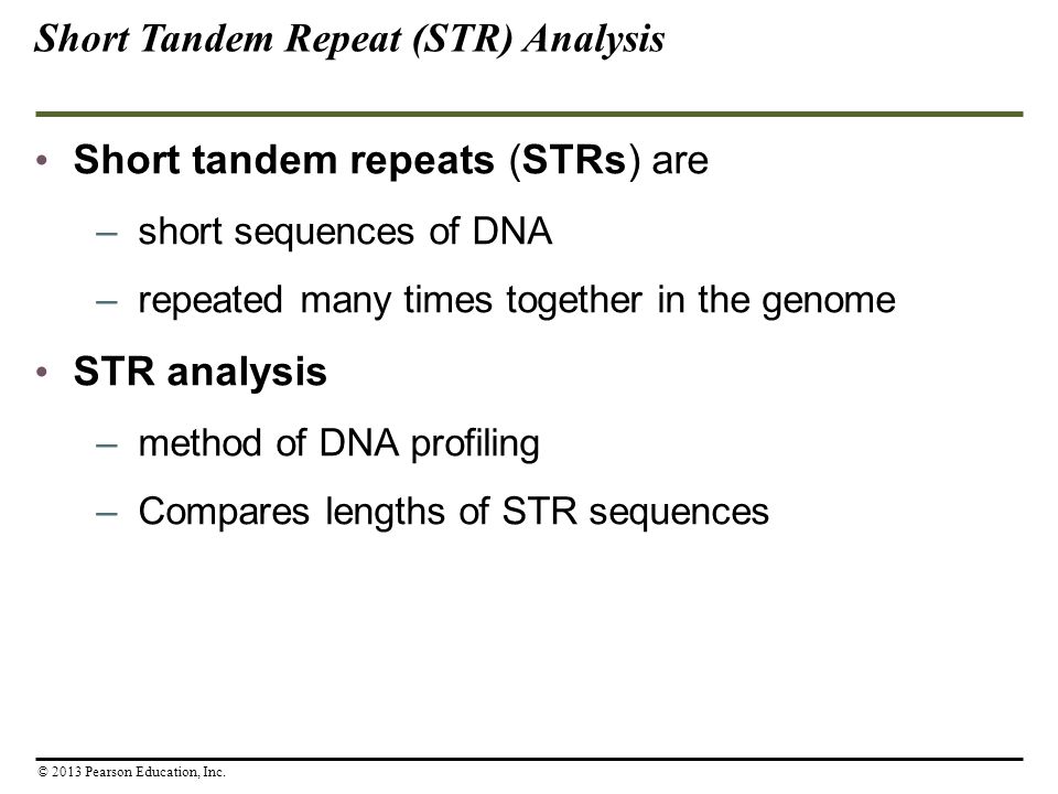 Short tandem repeats (STRs) are –short sequences of DNA –repeated many times together in the genome STR analysis –method of DNA profiling –Compares lengths of STR sequences Short Tandem Repeat (STR) Analysis © 2013 Pearson Education, Inc.