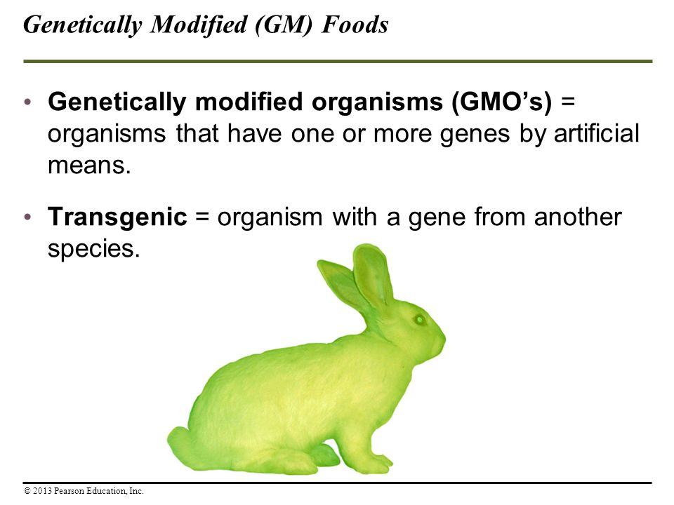 Genetically Modified (GM) Foods Genetically modified organisms (GMO’s) = organisms that have one or more genes by artificial means.