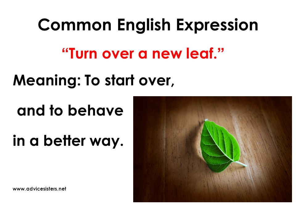 Turn over means. Turn a New Leaf. Turning over a New Leaf. To turn over. Turn over the Page.