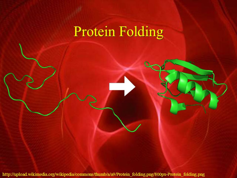 Protein folding - Wikipedia