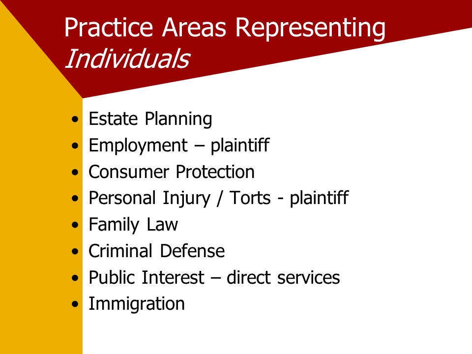 Practice Areas Representing Individuals Estate Planning Employment – plaintiff Consumer Protection Personal Injury / Torts - plaintiff Family Law Criminal Defense Public Interest – direct services Immigration