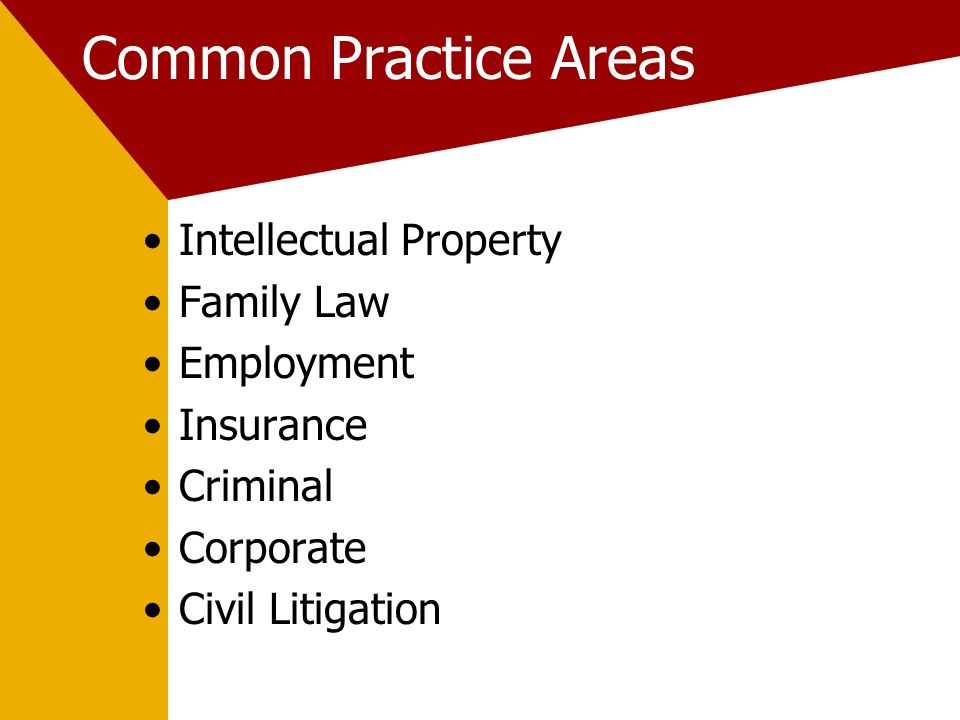 Common Practice Areas Intellectual Property Family Law Employment Insurance Criminal Corporate Civil Litigation