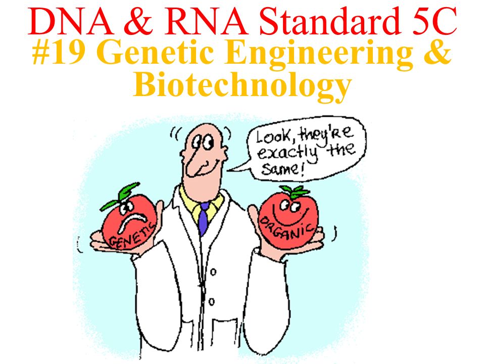 #19 Genetic Engineering & Biotechnology DNA & RNA Standard 5C