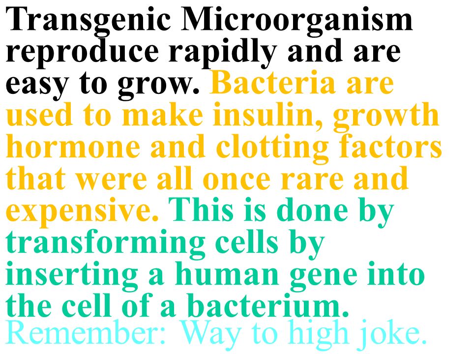 Transgenic Microorganism reproduce rapidly and are easy to grow.