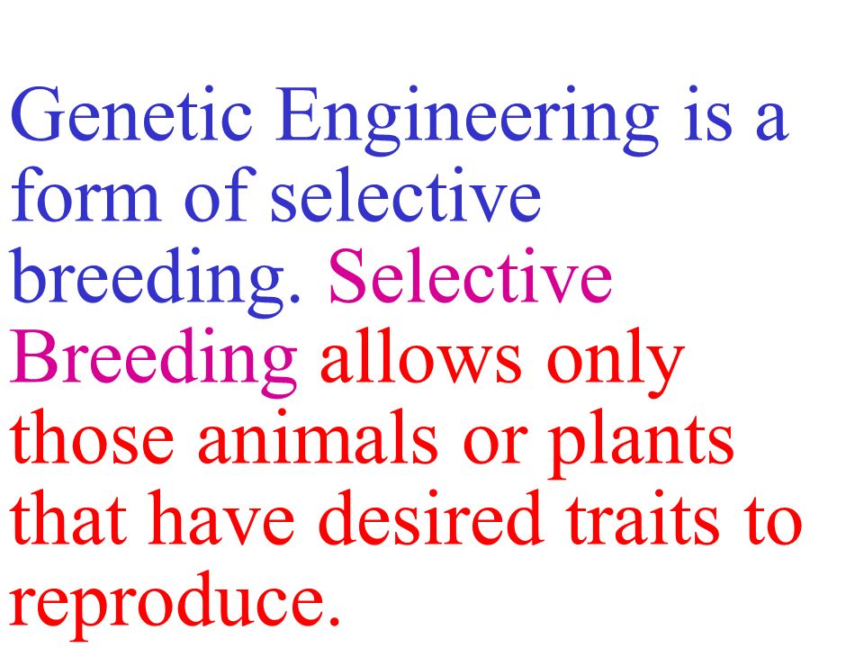 Genetic Engineering is a form of selective breeding.