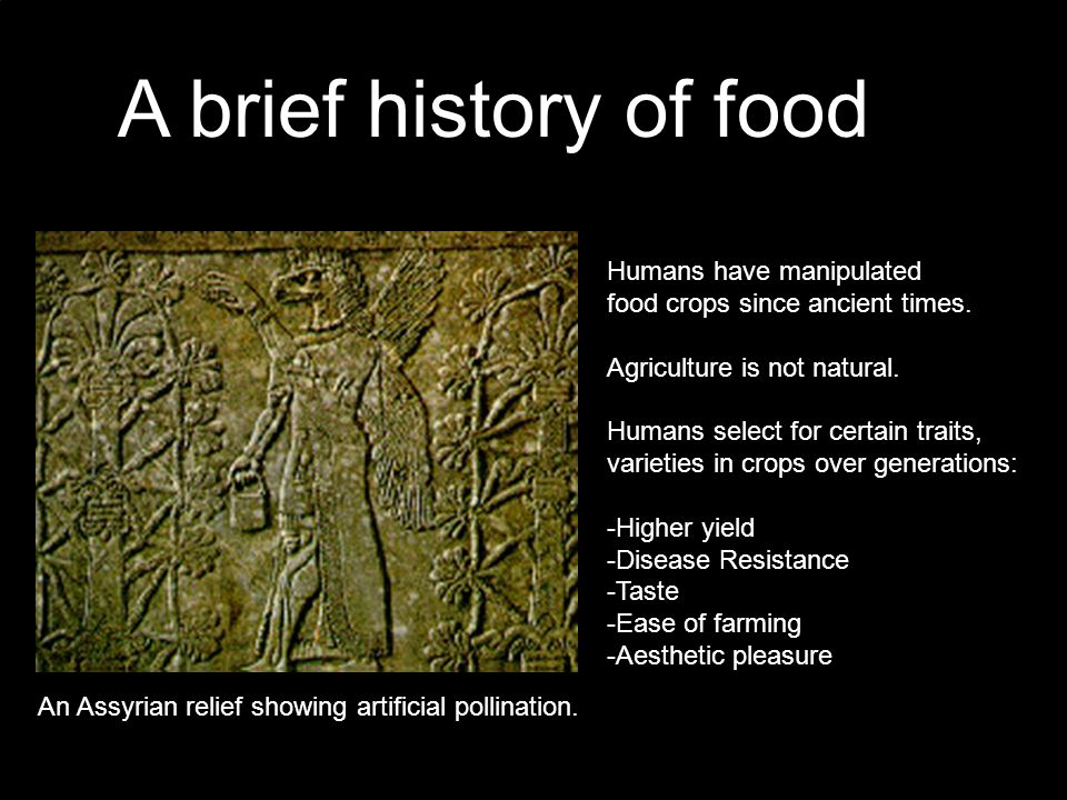 A brief history of food Humans have manipulated food crops since ancient times.