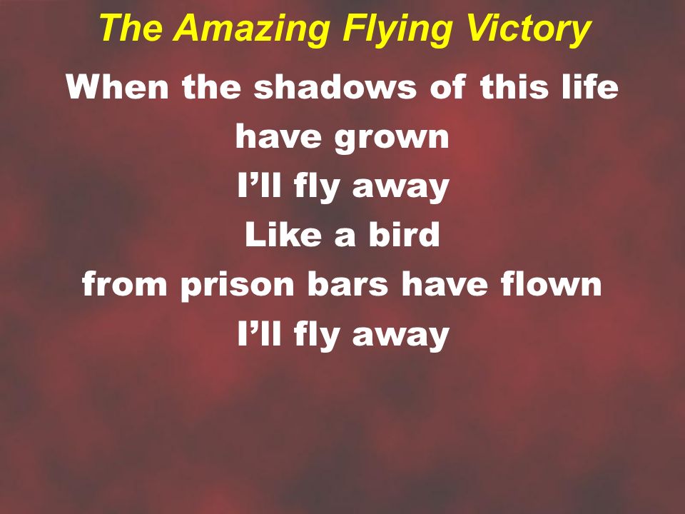 When the shadows of this life have grown I’ll fly away Like a bird from prison bars have flown I’ll fly away The Amazing Flying Victory