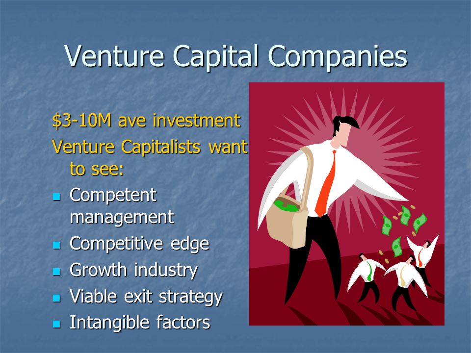 Venture Capital Companies $3-10M ave investment Venture Capitalists want to see: Competent management Competent management Competitive edge Competitive edge Growth industry Growth industry Viable exit strategy Viable exit strategy Intangible factors Intangible factors