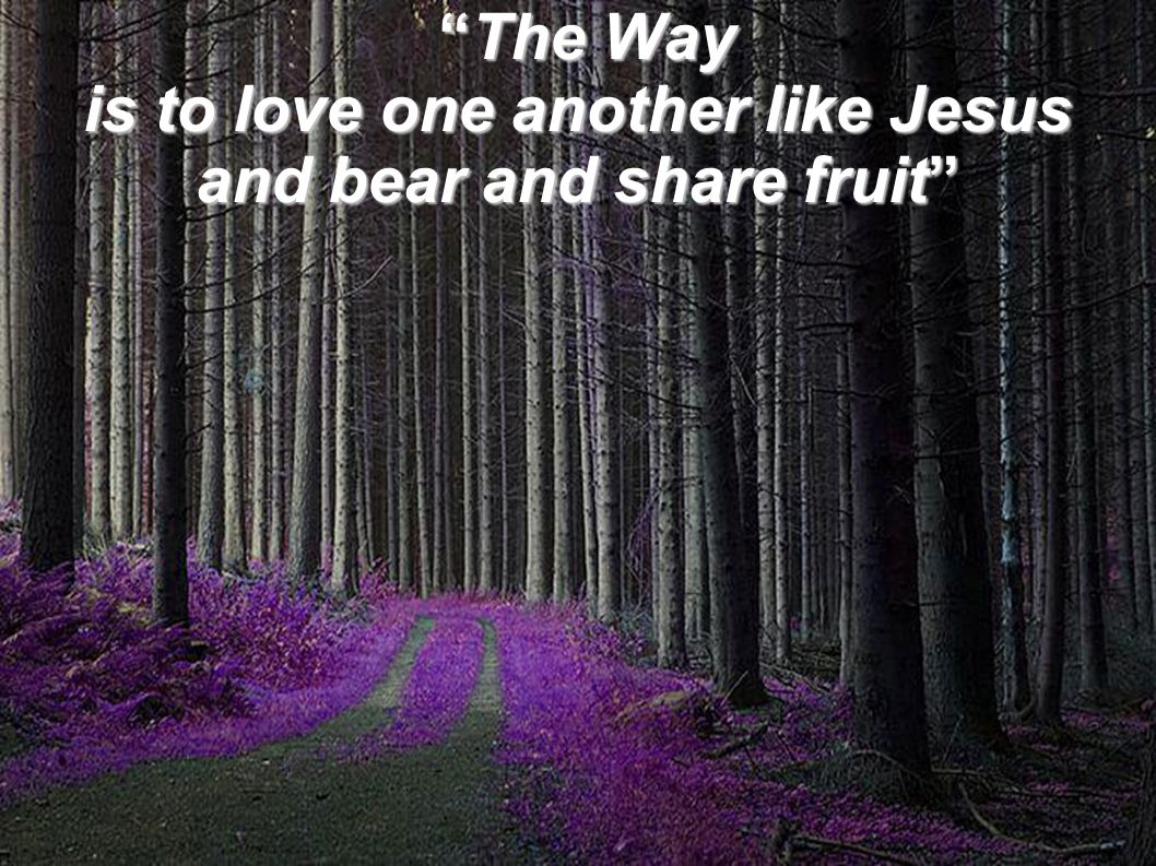 The Way is to love one another like Jesus and bear and share fruit The Way is to love one another like Jesus and bear and share fruit