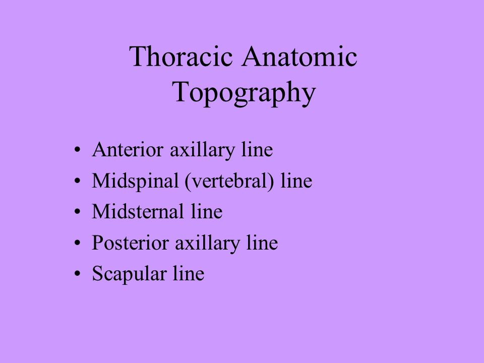 Thoracic Anatomic Topography Anterior axillary line Midspinal (vertebral) line Midsternal line Posterior axillary line Scapular line