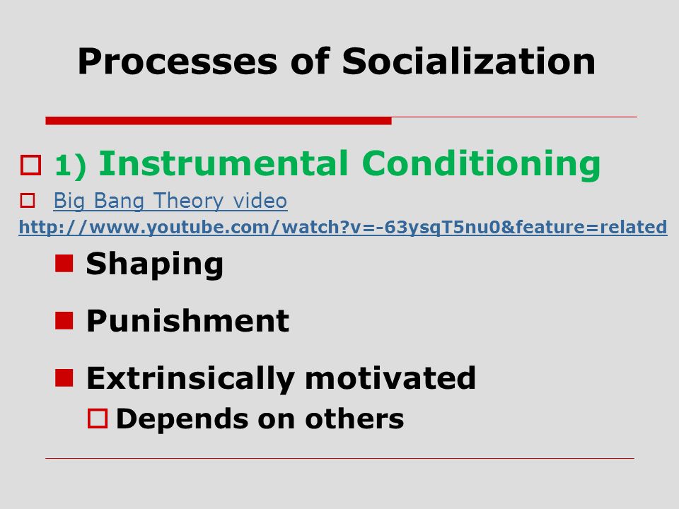 Processes of Socialization  1) Instrumental Conditioning  Big Bang Theory video Big Bang Theory video   v=-63ysqT5nu0&feature=related Shaping Punishment Extrinsically motivated  Depends on others