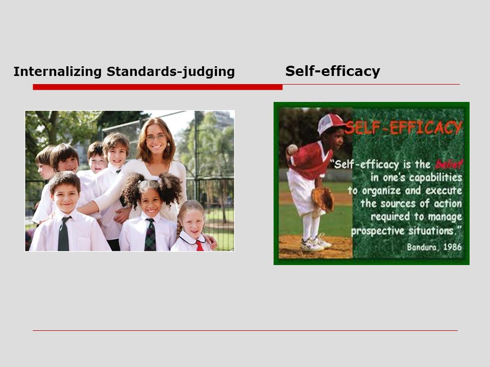Internalizing Standards-judging Self-efficacy