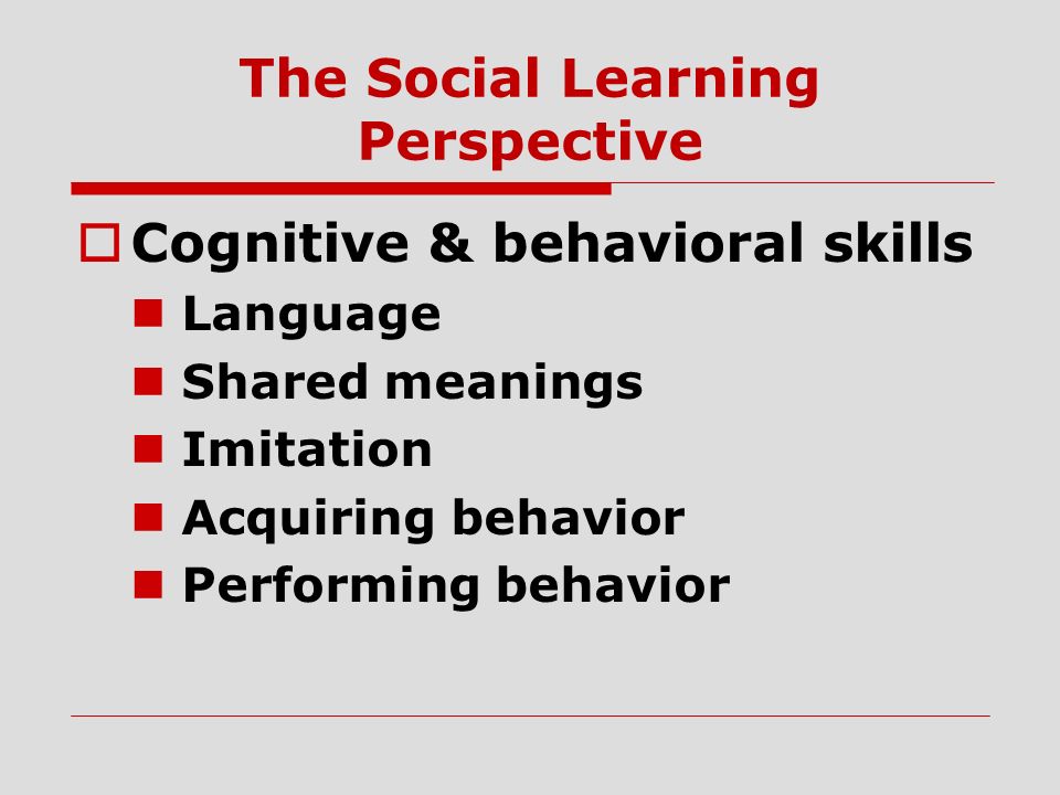The Social Learning Perspective  Cognitive & behavioral skills Language Shared meanings Imitation Acquiring behavior Performing behavior