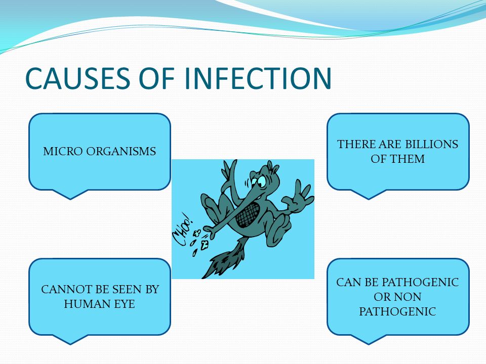 ic02 causes and spread of infection answers