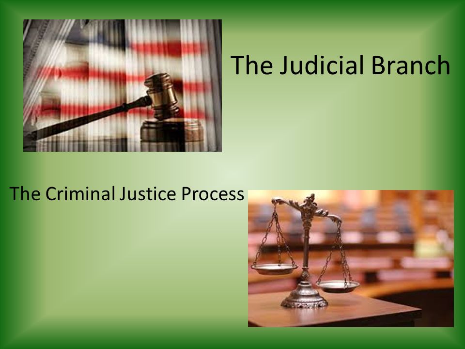 The Judicial Branch The Criminal Justice Process