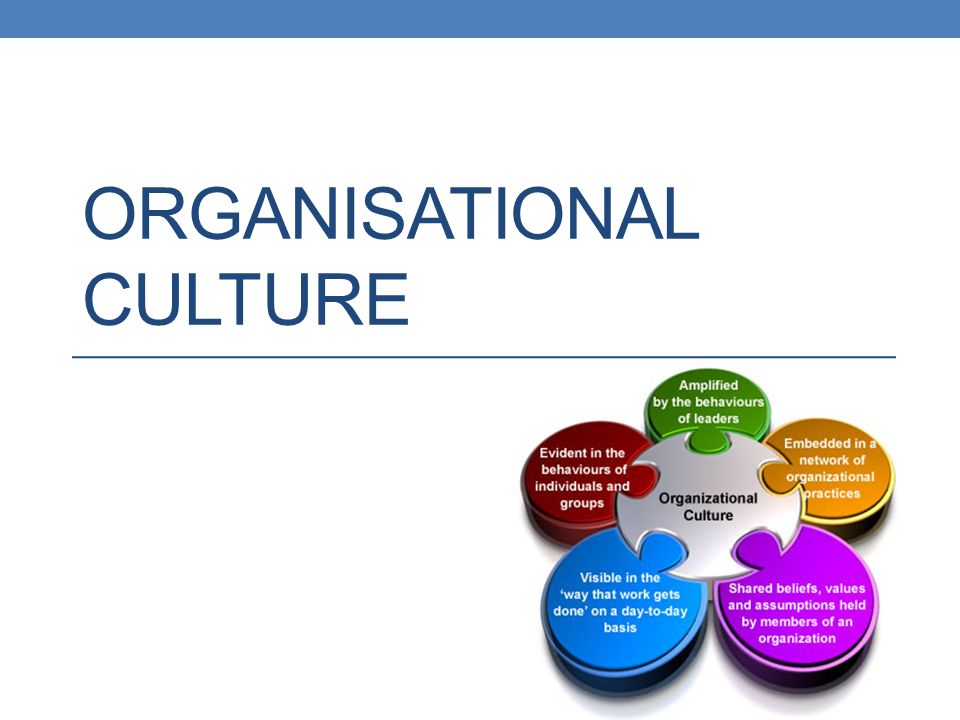 ORGANISATIONAL CULTURE ILM Project Management Session 9 Tara Lovejoy VIDEO:  organizational-cultures-examples-differences.html#lesson. - ppt download