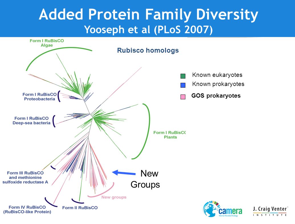 Rubisco homologs Added Protein Family Diversity Yooseph et al (PLoS 2007) New Groups GOS prokaryotes Known eukaryotes Known prokaryotes