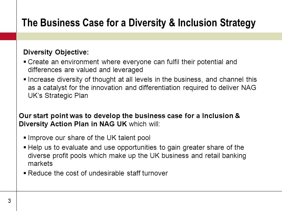 Diversity business plan uk