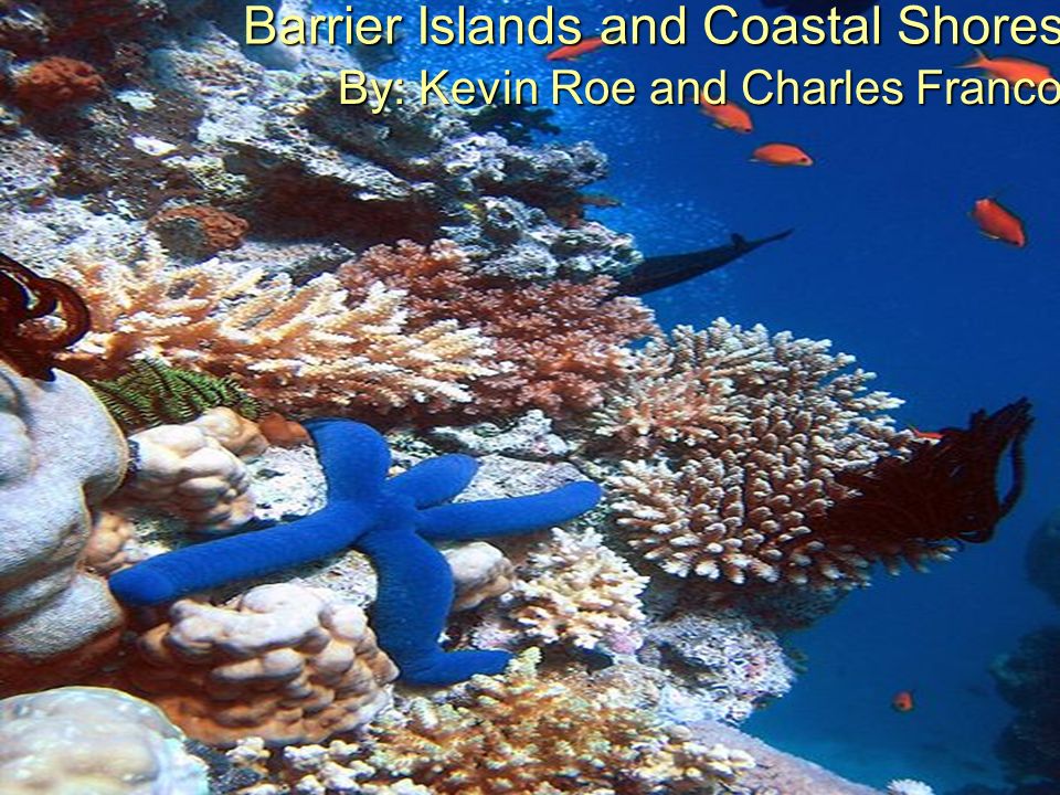 Barrier Islands and Coastal Shores By: Kevin Roe and Charles Franco