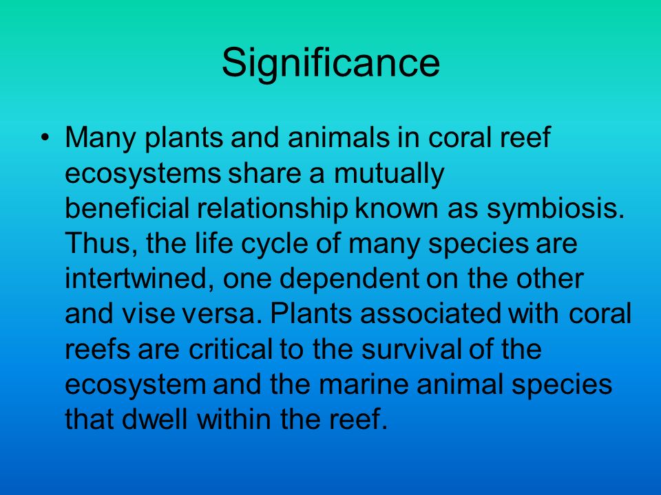 Significance Many plants and animals in coral reef ecosystems share a mutually beneficial relationship known as symbiosis.