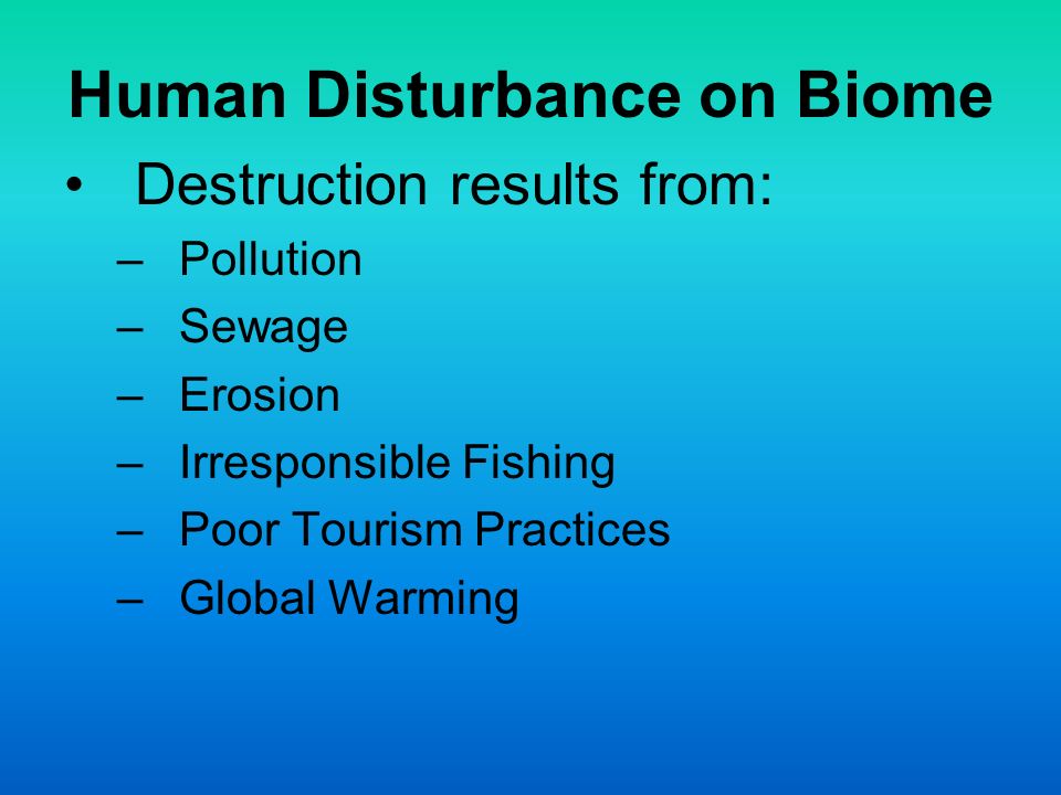 Human Disturbance on Biome Destruction results from: –Pollution –Sewage –Erosion –Irresponsible Fishing –Poor Tourism Practices –Global Warming