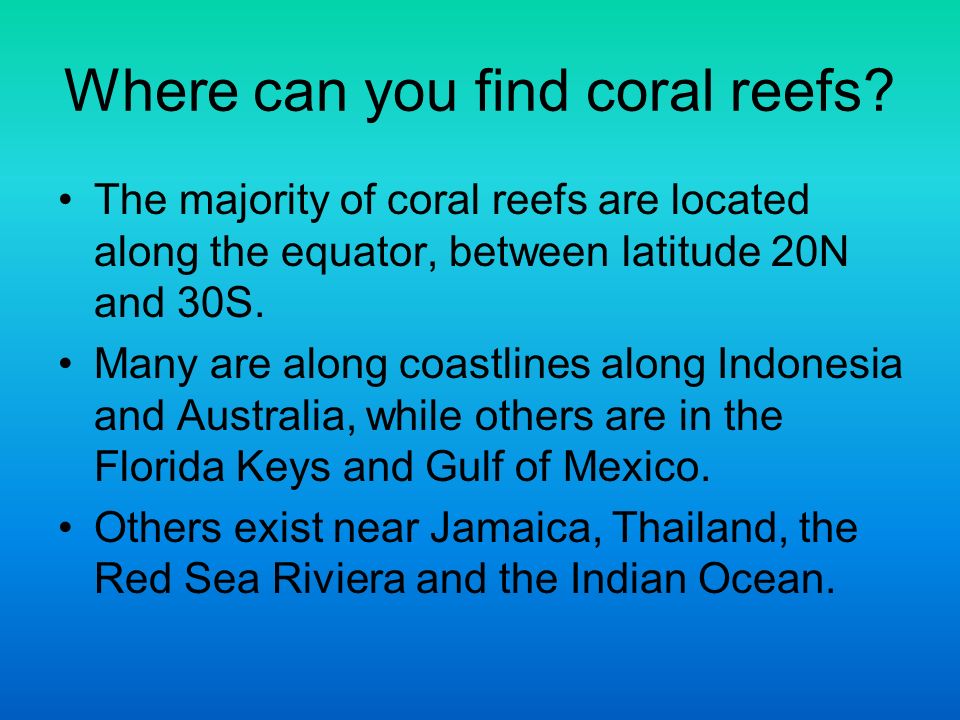 Where can you find coral reefs.