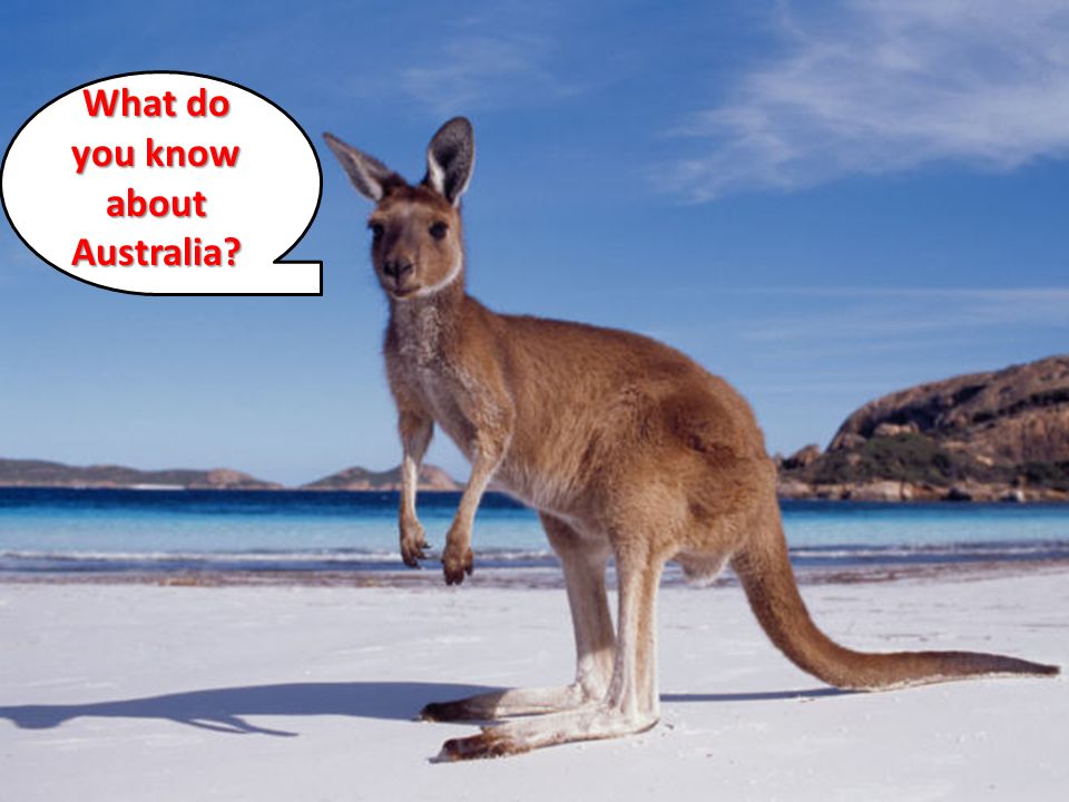 What do you know about Australia
