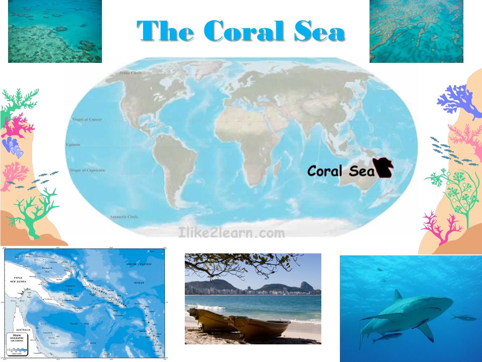 The Coral Sea