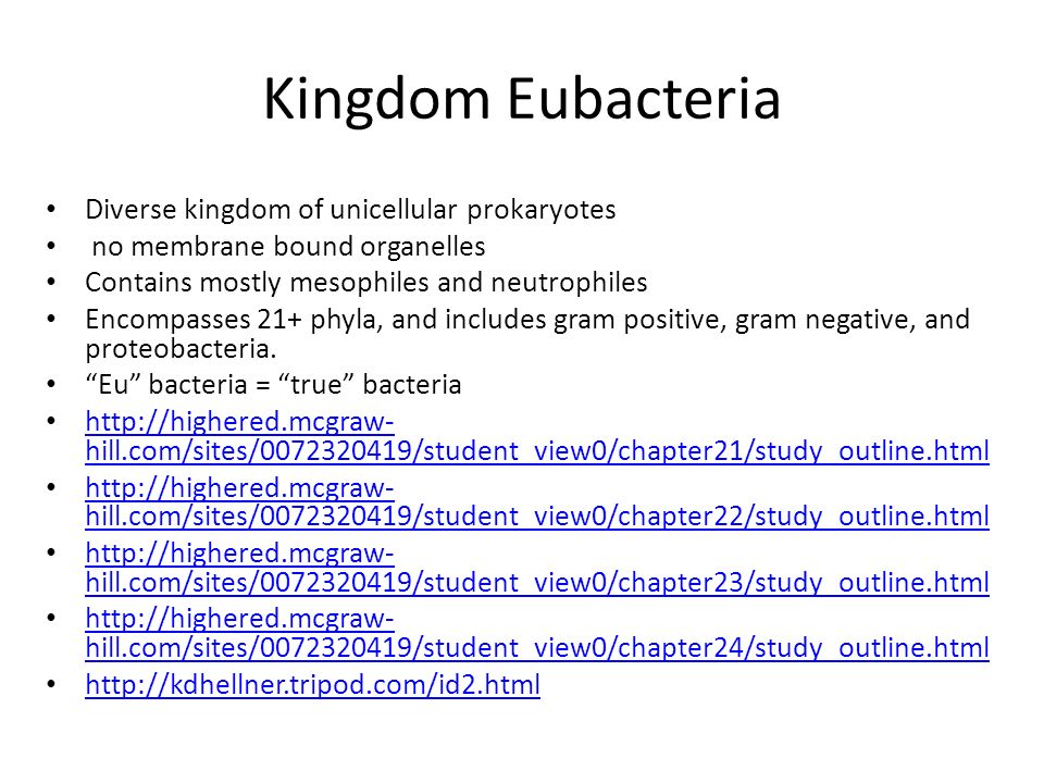 easiest eubacterias pdf hall lippincott archaebacteria vs eubacteria venn diagram