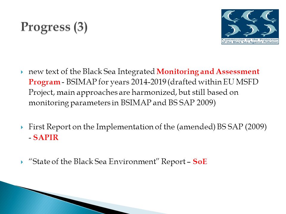  new text of the Black Sea Integrated Monitoring and Assessment Program - BSIMAP for years (drafted within EU MSFD Project, main approaches are harmonized, but still based on monitoring parameters in BSIMAP and BS SAP 2009)  First Report on the Implementation of the (amended) BS SAP (2009) - SAPIR  State of the Black Sea Environment Report – SoE