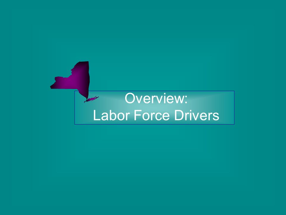 Overview: Labor Force Drivers