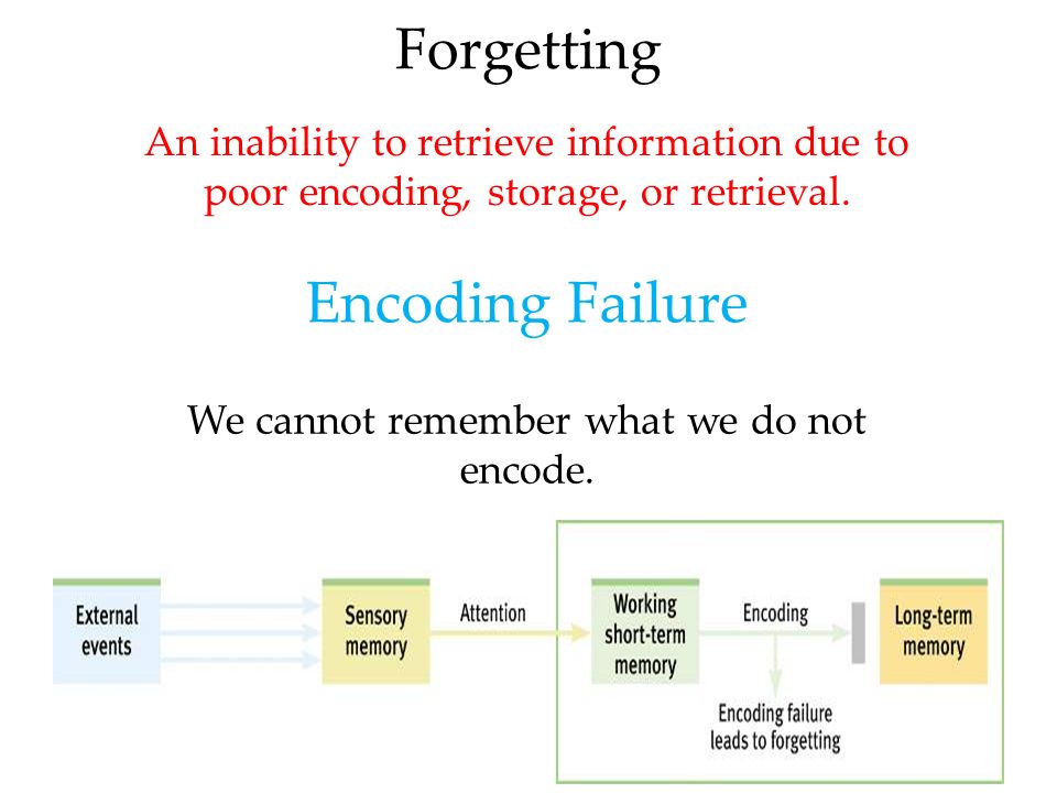 memory retrieval failure