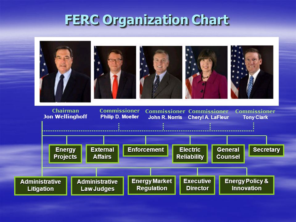 Ferc Organization Chart