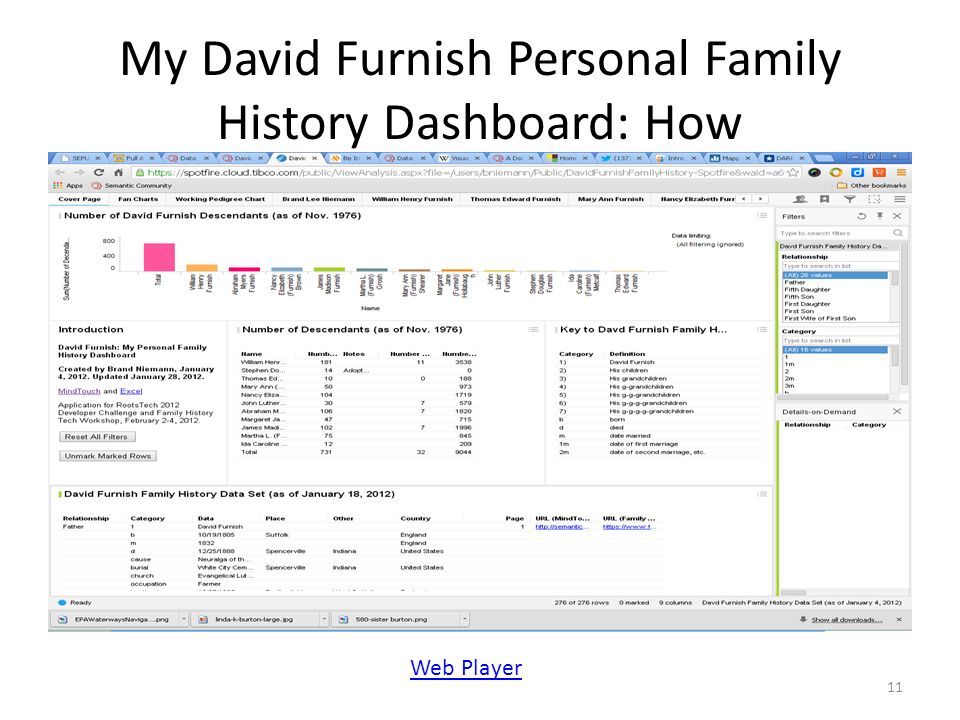 My David Furnish Personal Family History Dashboard: How Web Player 11