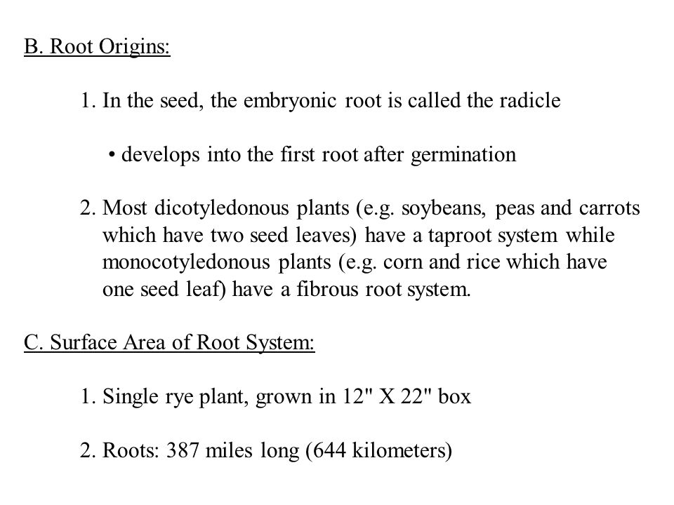 B. Root Origins: 1.