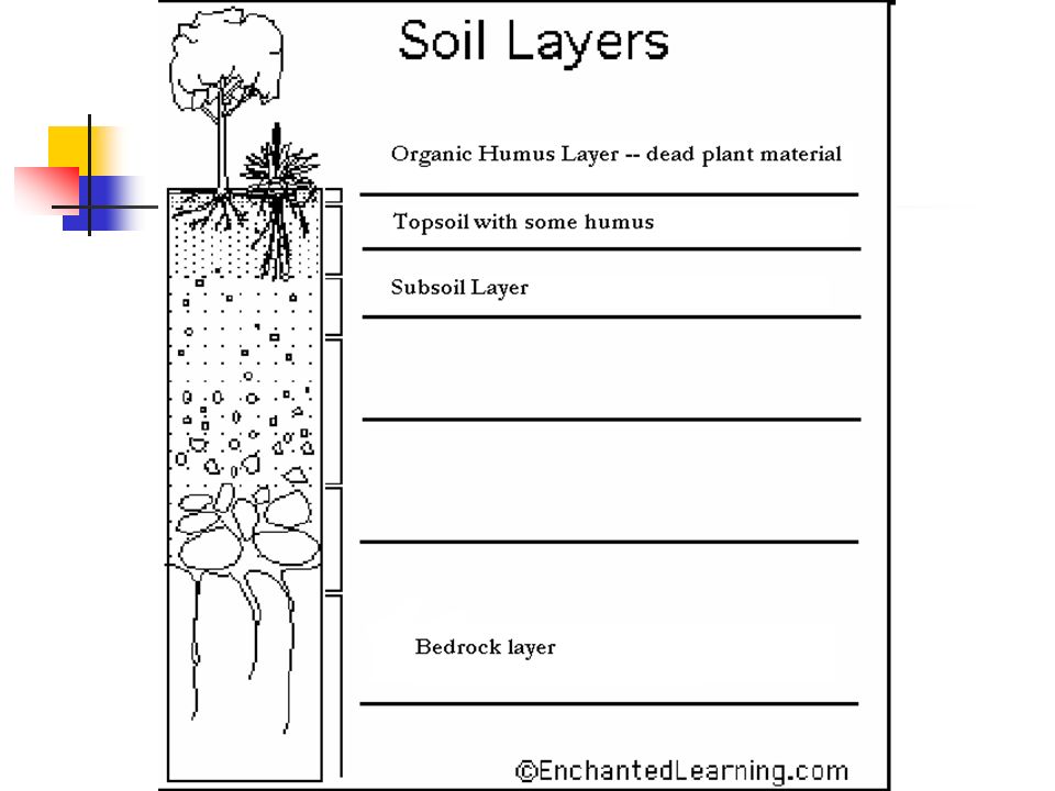 Soil Profile – aka Soil Layers