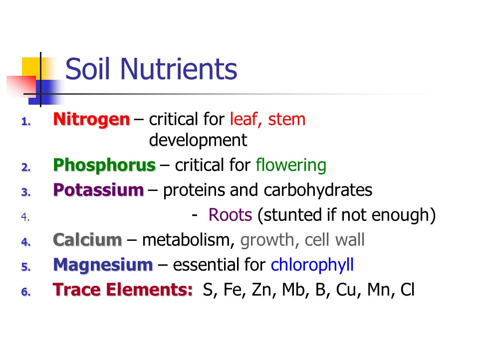 Soil Humus = organics layer on top 2. Topsoil = mix of humus, sand, clay and minerals 3.