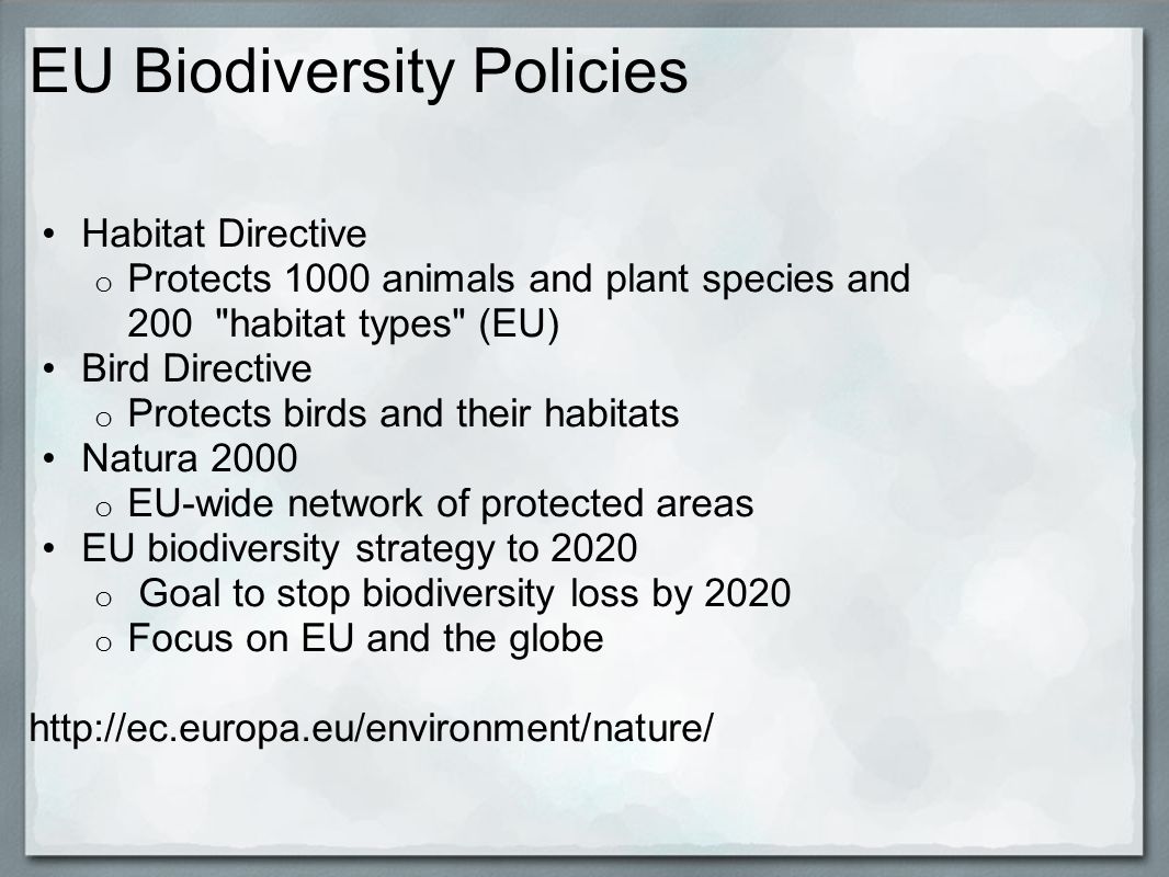 EU Biodiversity Policies Habitat Directive o Protects 1000 animals and plant species and 200 habitat types (EU) Bird Directive o Protects birds and their habitats Natura 2000 o EU-wide network of protected areas EU biodiversity strategy to 2020 o Goal to stop biodiversity loss by 2020 o Focus on EU and the globe