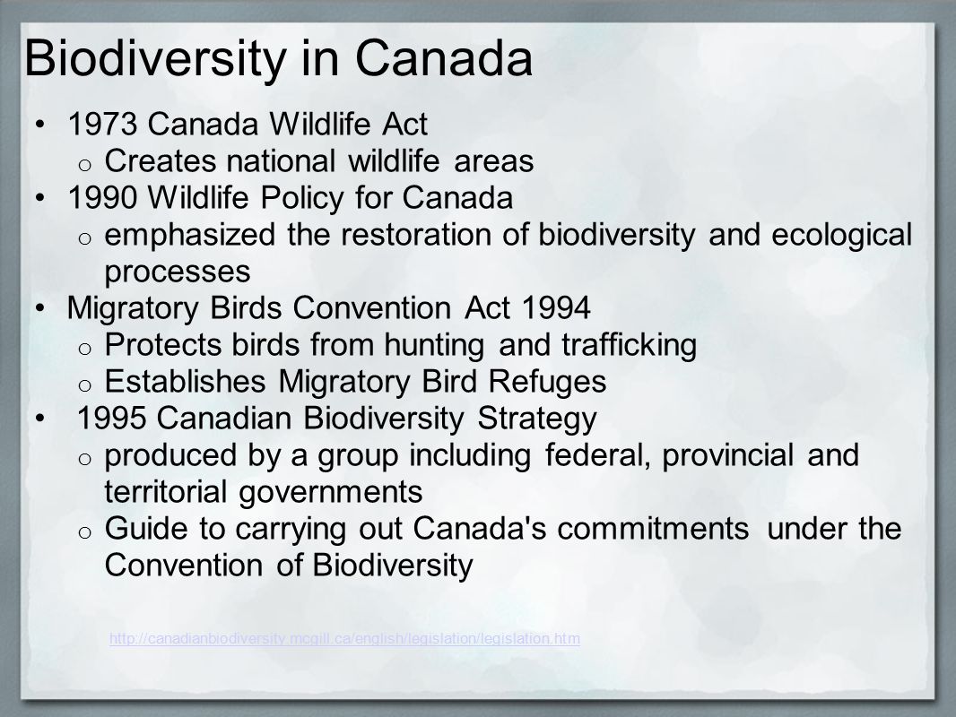 Biodiversity in Canada 1973 Canada Wildlife Act o Creates national wildlife areas 1990 Wildlife Policy for Canada o emphasized the restoration of biodiversity and ecological processes Migratory Birds Convention Act 1994 o Protects birds from hunting and trafficking o Establishes Migratory Bird Refuges 1995 Canadian Biodiversity Strategy o produced by a group including federal, provincial and territorial governments o Guide to carrying out Canada s commitments under the Convention of Biodiversity