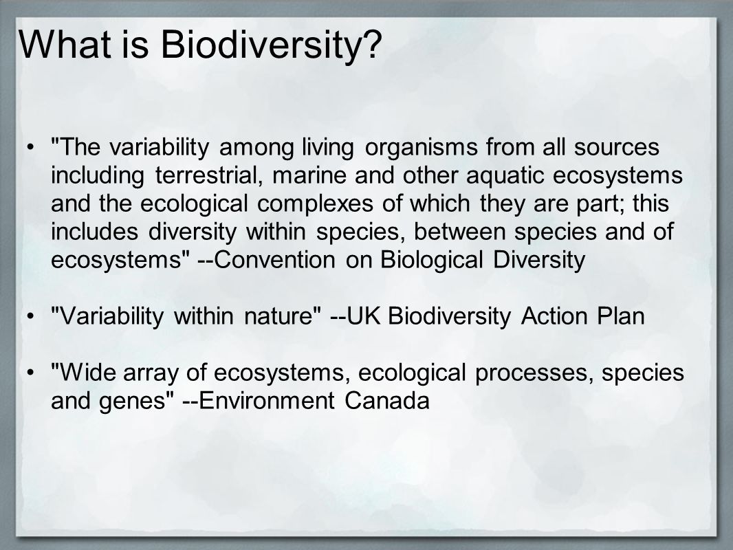 What is Biodiversity.